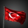 Ertu Yaşar 的头像
