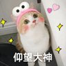血衣's profile picture