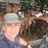 Hugo Peña's profile picture