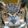 Виккентий Фёдоров profil fotoğrafı