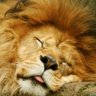 LyonHart's profile picture