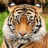 Profilbild von الحياة صعبة