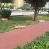 SD profil fotoğrafı