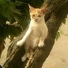 松子's profile picture