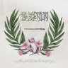 Profilbild von ahmad almansor