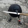 Profilbild von Clamped
