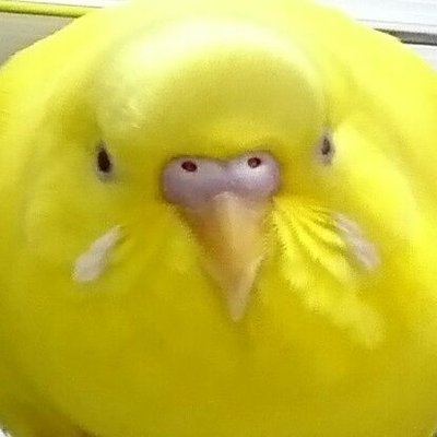 ばなな's profile picture