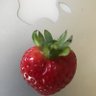 agburb profil fotoğrafı