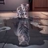 Фото профиля Joseph saddik