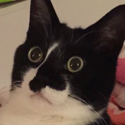 響介's profile picture