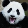 kimse bilmez's profile picture