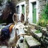 Ricardo David profil fotoğrafı