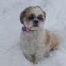 Hel Hop's profile picture