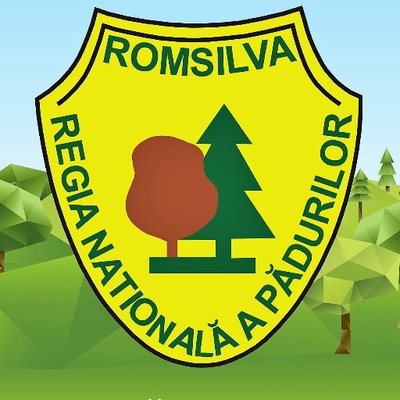 RNP_Romsilva's profile picture