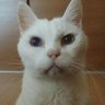 かな's profile picture