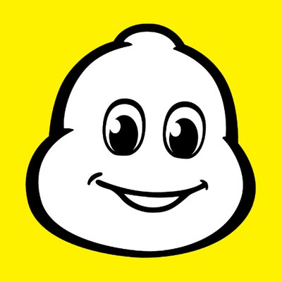 Michelin Racing USA's profile picture