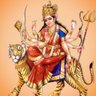Vishu's profile picture