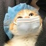 ,_, 的头像