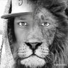 HOGStatNow's profile picture