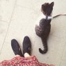 sayuri profil fotoğrafı
