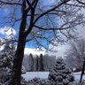 雪花儿飘 profil fotoğrafı