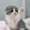 Фото профиля little boy