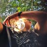 Raymundo Méndez profil fotoğrafı