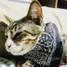RunBBH VI.W profil fotoğrafı