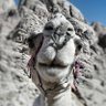 piiit profil fotoğrafı