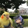Profilbild von lucyfa