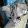 doramyo reina's profile picture