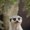 take it away from me's profile picture