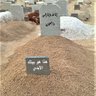 Profilbild von الفجر القادم