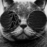 Profilbild von MarkH200