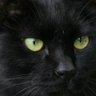 王越 profil fotoğrafı