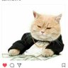 SALT's profile picture