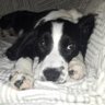 Profilbild von Jack