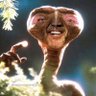 Jefe Jengibre's profile picture