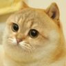 Profilbild von AZI