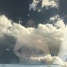meltem's profile picture