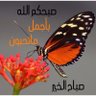 Momo ghazala's profile picture