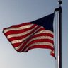 Dana Simmens 🇺🇲's profile picture