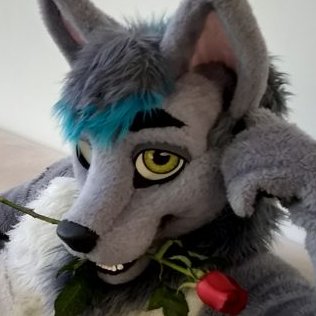 Crash Azarel @NFC's profile picture