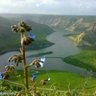 سهم الجنوب's profile picture
