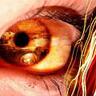 DaGhostDS 的头像