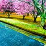 Фото профиля Doe T