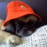 Uğur Özocak's profile picture