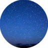 litec's profile picture