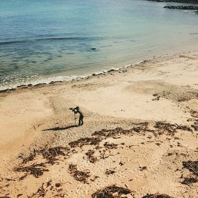 dunbar44's profile picture