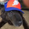 MetsPhistopheles's profile picture